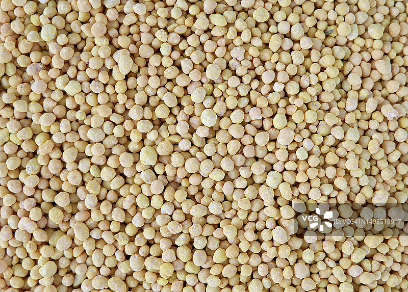 豆类的全画幅照片图片素材