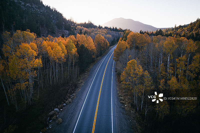 秋季森林中穿梭于树木间的道路航拍视角图片素材