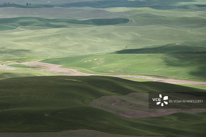 美国华盛顿州帕卢斯农业田野航拍图片素材