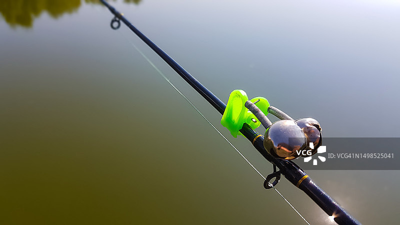 栖息在电缆上的鸟儿特写图片素材