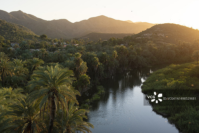 米莱格任务绿洲景观图片素材