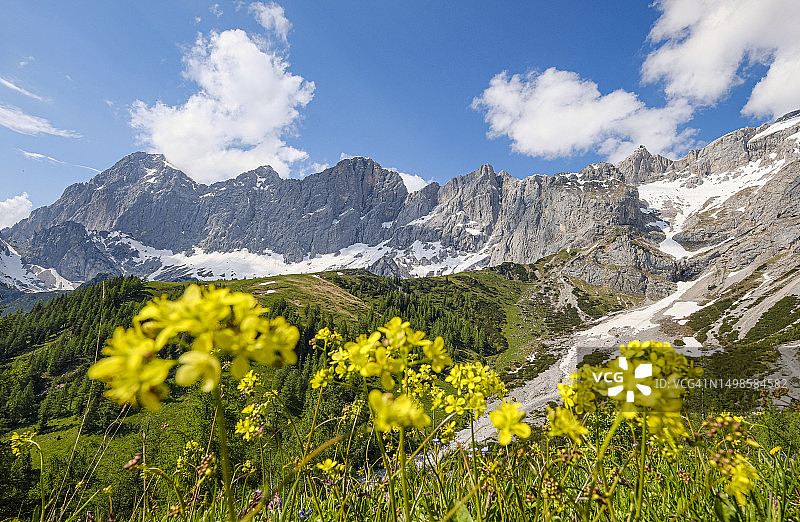 达赫施泰因山南壁全景:徒步旅行者、自然爱好者和登山者的天堂(从左到右:托尔斯坦峰、米特斯皮茨峰、霍赫达赫施泰因峰、迪恩德尔峰、胡内科格尔峰)图片素材
