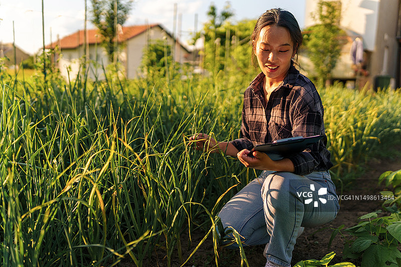 可持续性与女性在环保、绿色和农业创新方面的工作图片素材
