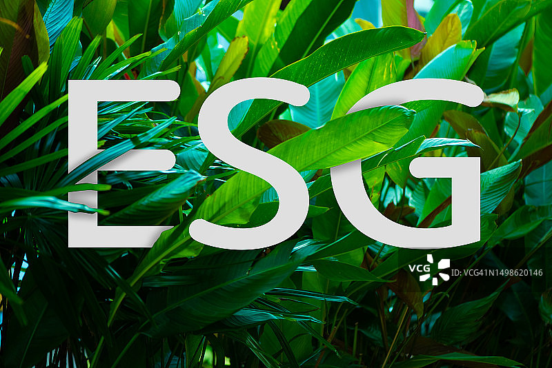 手持自然环境和碳中和概念，实现净零排放目标。绿色净零天气中性长期战略目标云图片素材