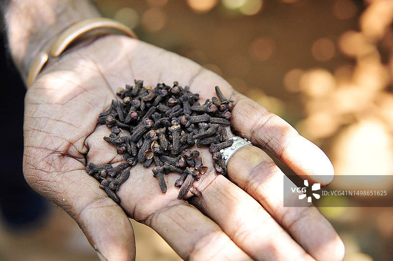 手上的蒜瓣图片素材