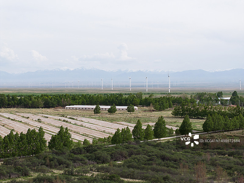 森林草地上的风力涡轮机图片素材