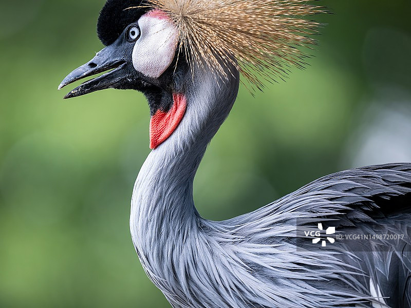起重机特写图片素材