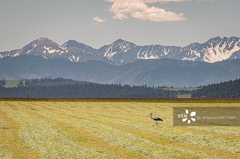 天空衬托下的田野风景图片素材