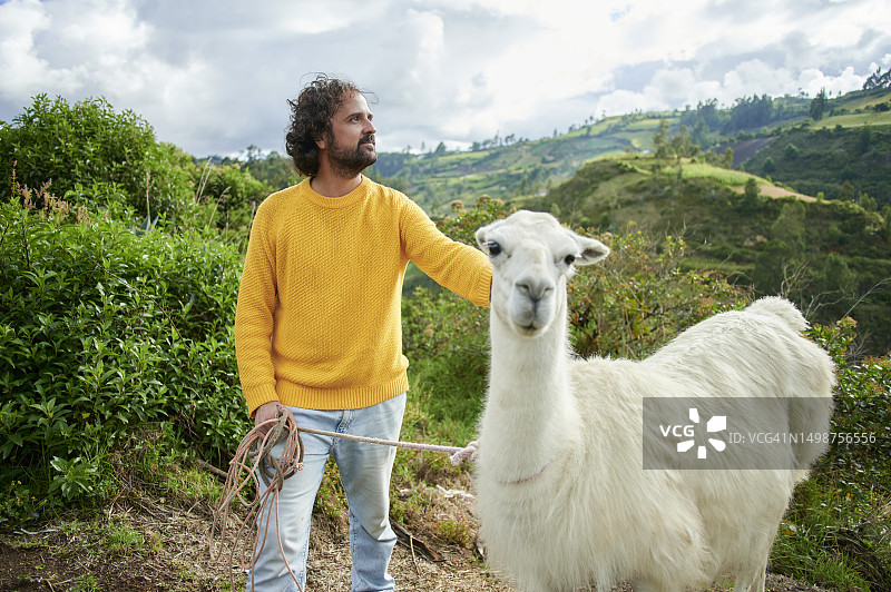 在哥伦比亚抚摸美洲驼的男子图片素材