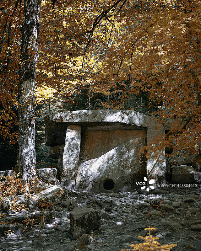 秋季森林中的古老石棚图片素材