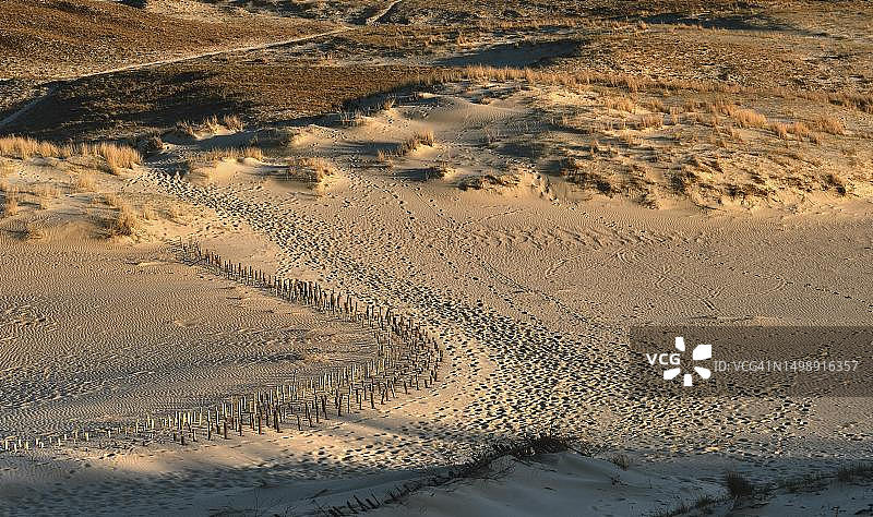 波罗的海库尔斯沙嘴早春风光:尼达,克莱佩达,立陶宛,线条、节奏与光影,联合国教科文组织国家地标自然保护区图片素材