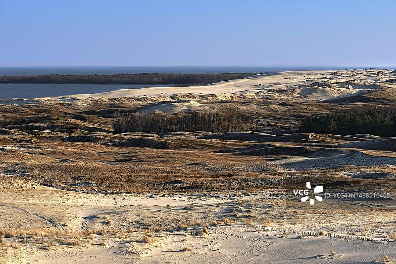立陶宛波罗的海库尔什沙嘴早春自然风光图片素材