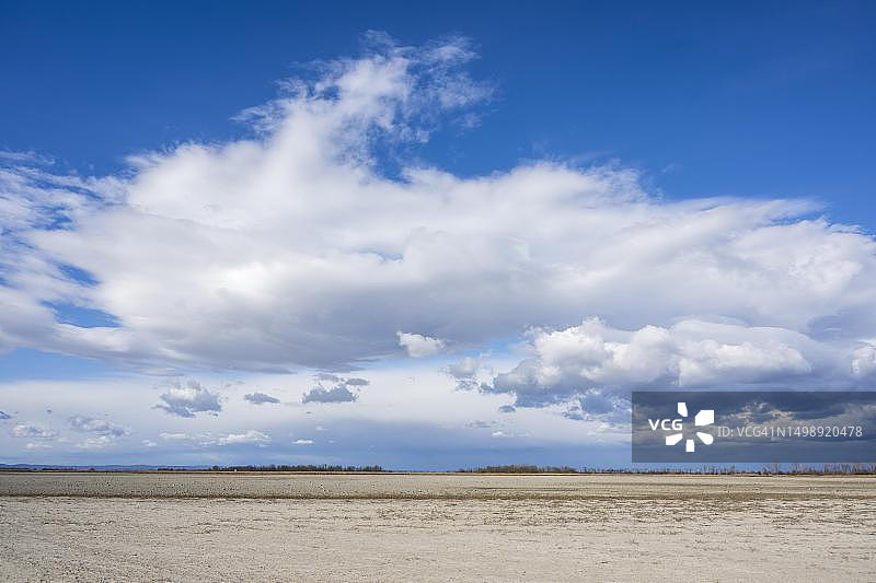 新锡德尔湖-塞温克尔国家公园的齐克湖干涸景象，奥地利布尔根兰州图片素材