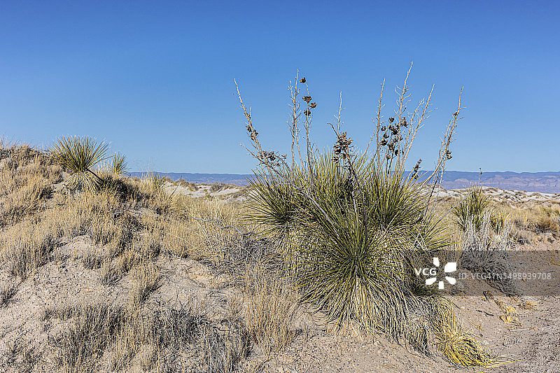 美国新墨西哥州阿拉莫罗多附近奇瓦瓦沙漠和图拉罗萨盆地内的白沙国家纪念碑石膏沙丘图片素材