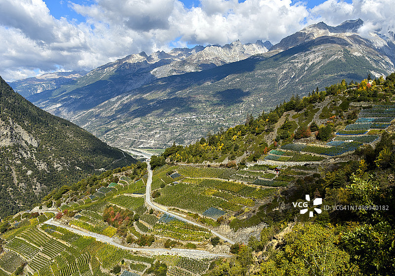 瑞士瓦莱州葡萄园梯田图片素材