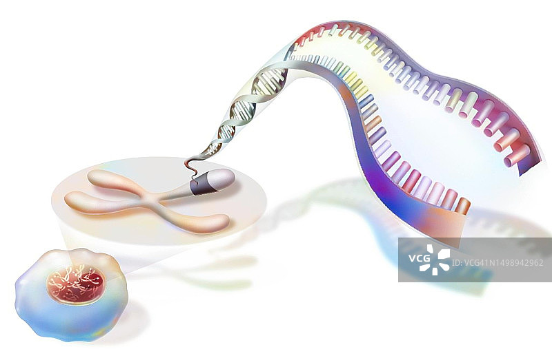 DNA压缩图片素材