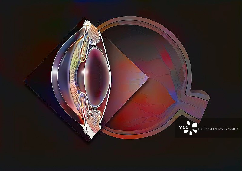 眼睛绘画图片素材