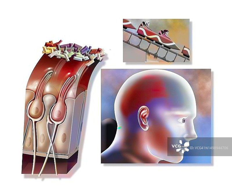 黄斑图图片素材