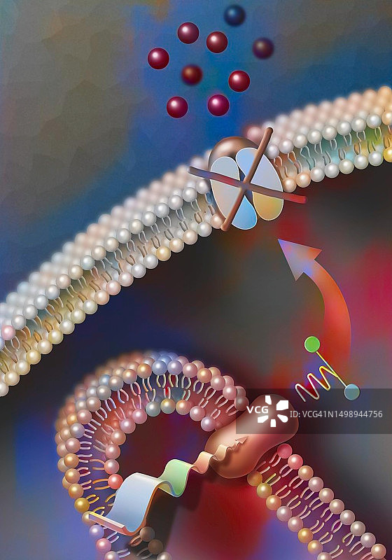 光转导作用图片素材