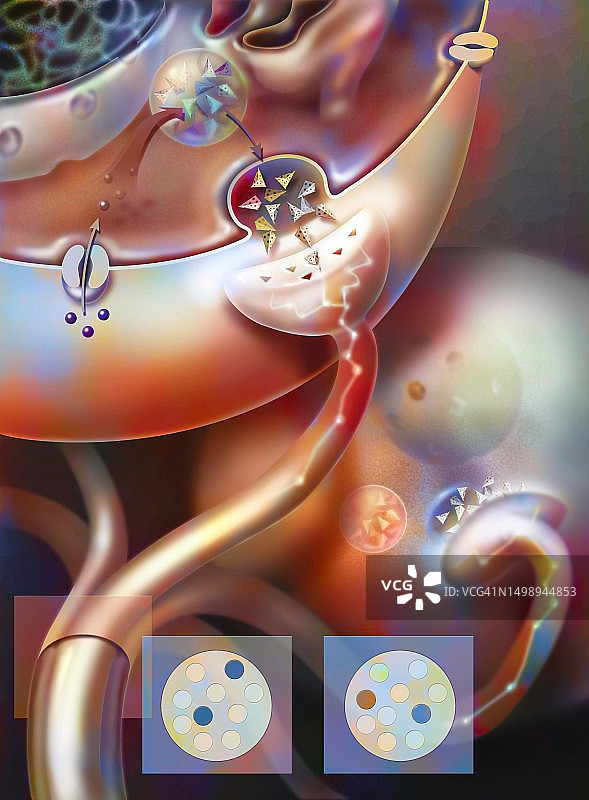 神经冲动图图片素材