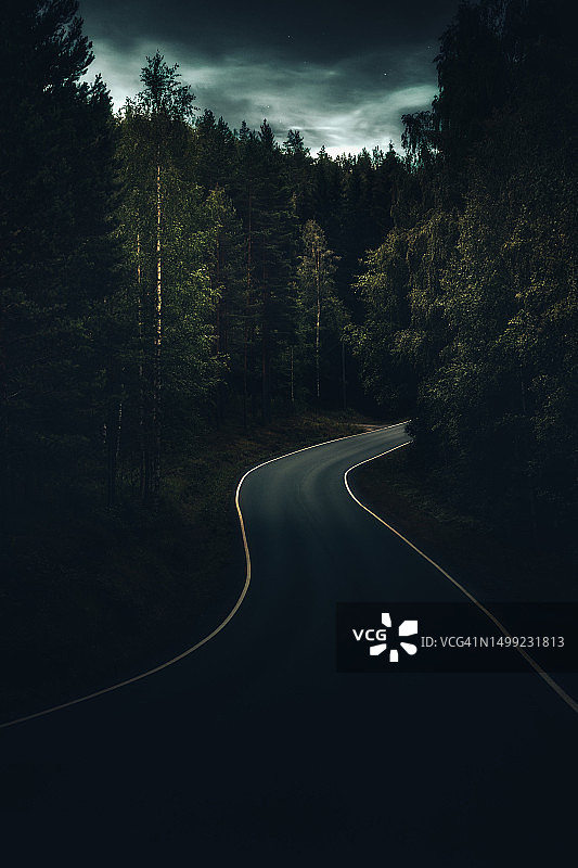 夜晚穿过森林的道路图片素材