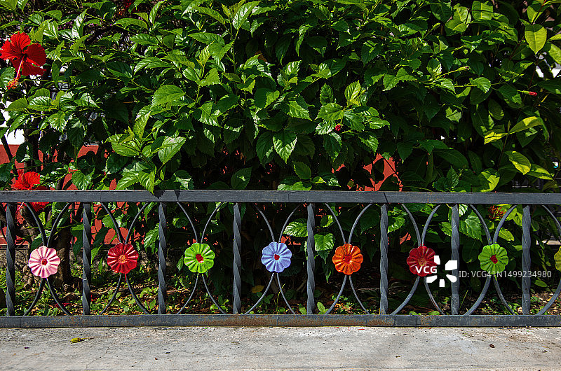 低矮金属围栏与花卉装饰，围绕种植芙蓉灌木的花坛图片素材