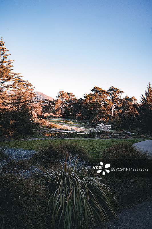 旧金山图片素材