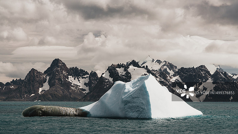 南极洲巨型冰山漂浮在南极半岛海岸图片素材