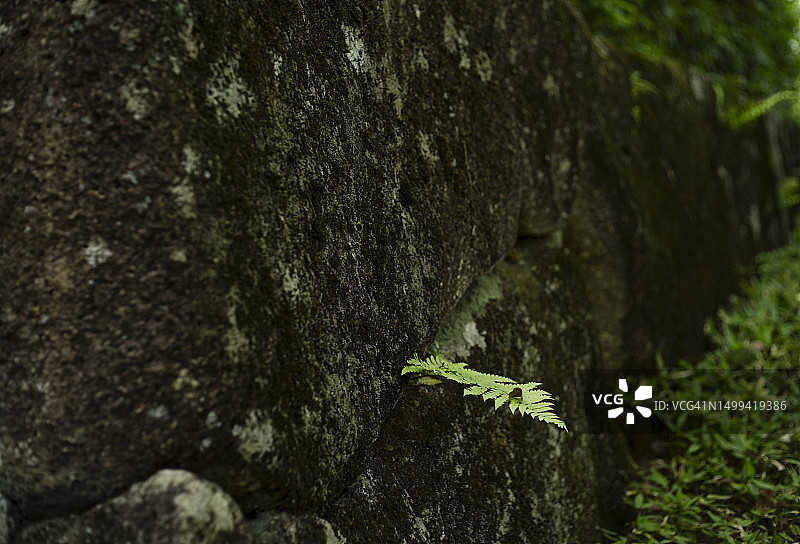 禅的宁静图片素材