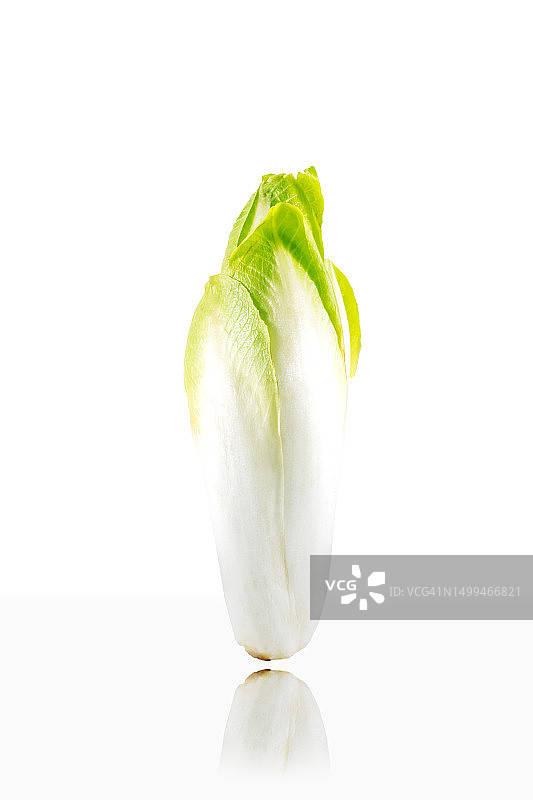 工作室白色背景沙拉图片素材