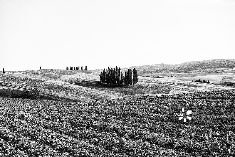 奥尔恰谷著名的丝柏树图片素材