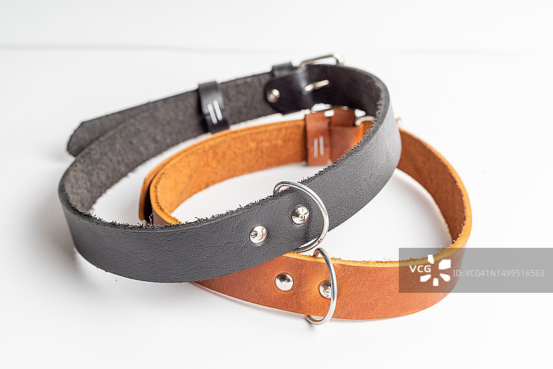狗狗腰带产品摄影图片素材