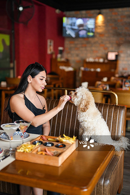 坐在咖啡馆里喂狗狗吃土豆的美丽女人图片素材