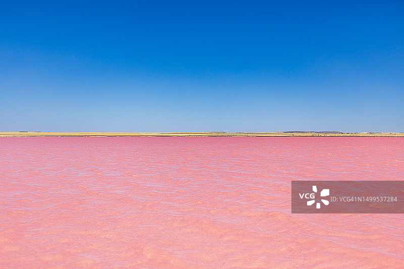 南澳大利亚内陆粉色盐湖风光图片素材