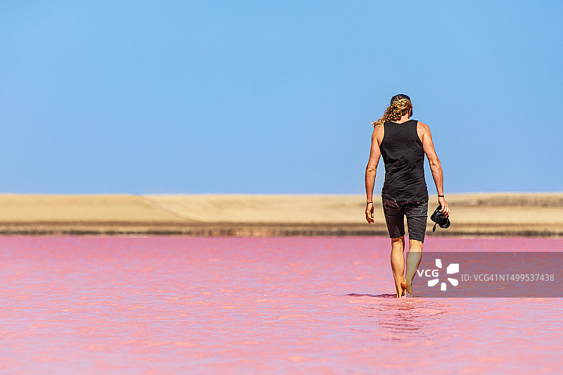 年轻男人在南澳大利亚内陆明亮的粉红色盐湖中拍照图片素材