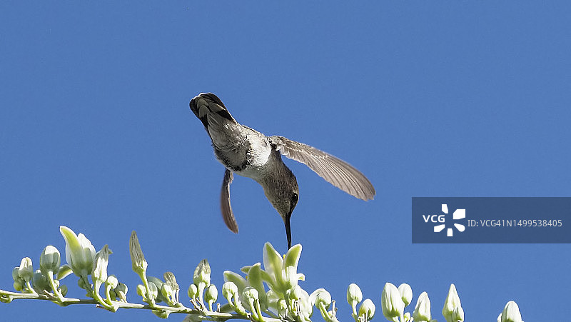在空中图片素材