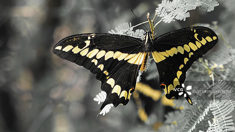 我的颜色选择图片素材