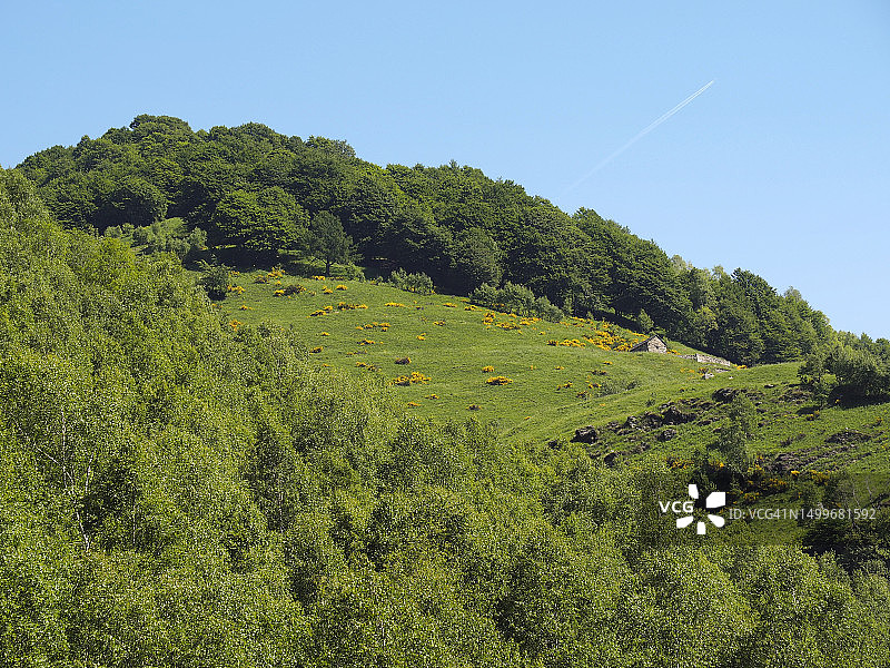 阿尔卑斯山莱蓬廷阿尔卑斯山脉的阿尔萨尔德村图片素材