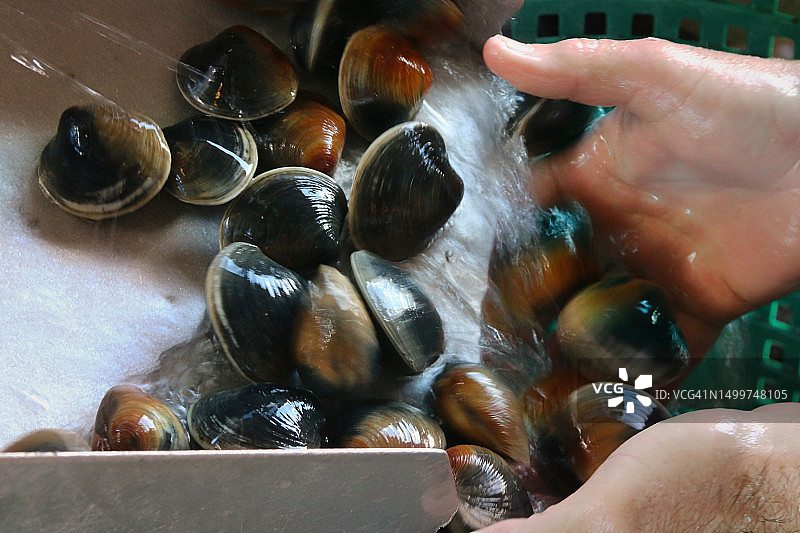 双手整理佛罗里达州锡达礁的平静图片素材