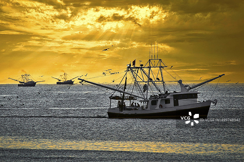 墨西哥湾的捕虾拖网渔船图片素材