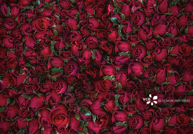 鲜花市场中的玫瑰花束特写图片素材