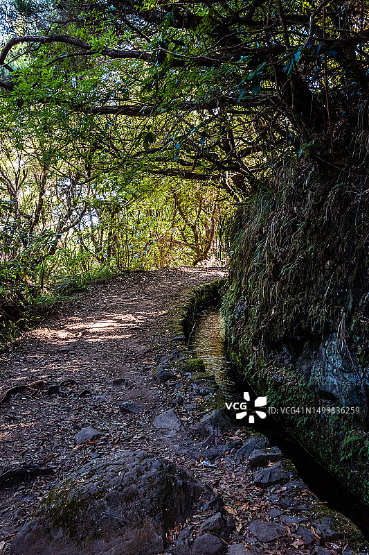 马德拉桑塔纳绿野大锅徒步图片素材