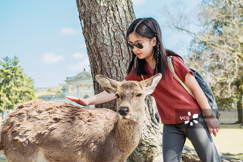 快乐的亚洲小女孩在日本奈良公园轻轻触摸小鹿图片素材