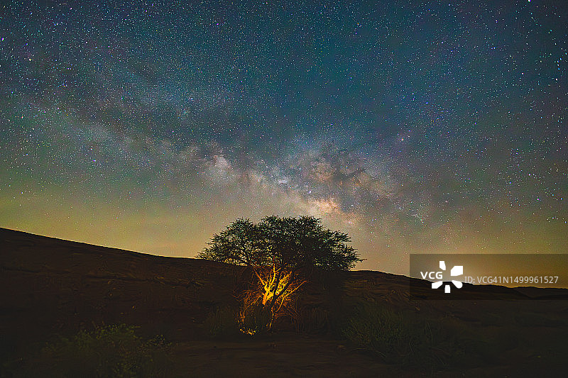 银河下的孤树图片素材