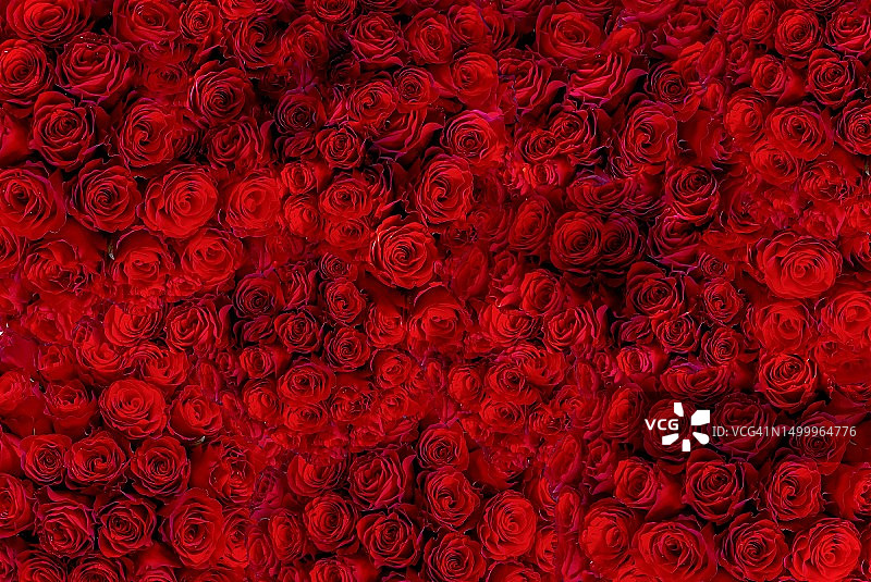 鲜花市场中的玫瑰花束特写图片素材