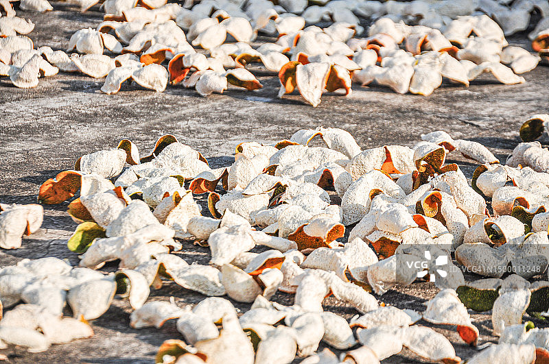 新会陈皮，广东柑橘皮图片素材