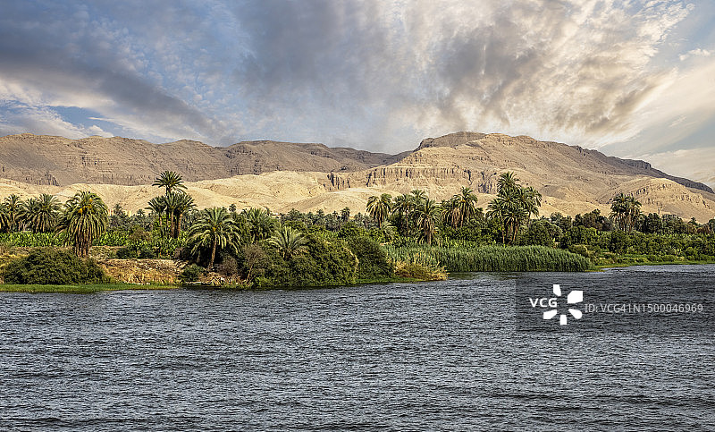 埃及尼罗河畔的香蕉和椰枣田图片素材