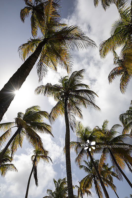 巴拿马图片素材