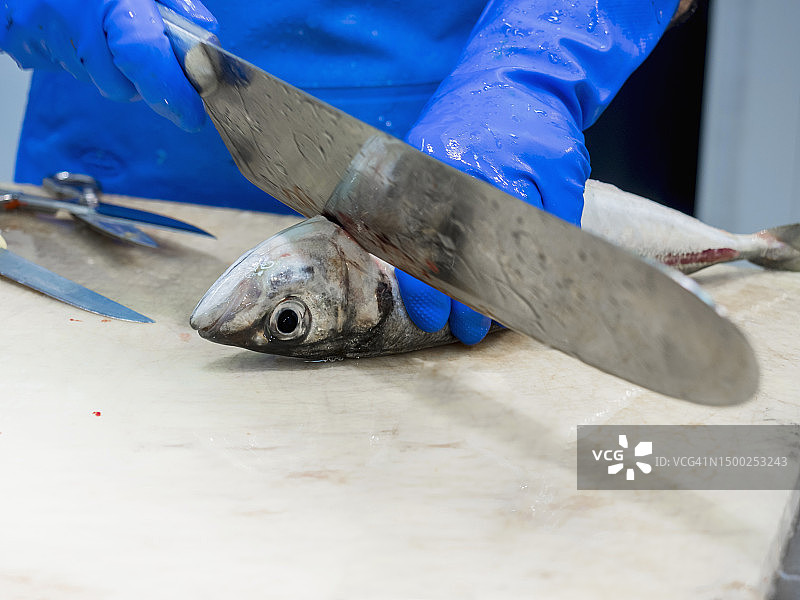 男人切鱼的特写图片素材