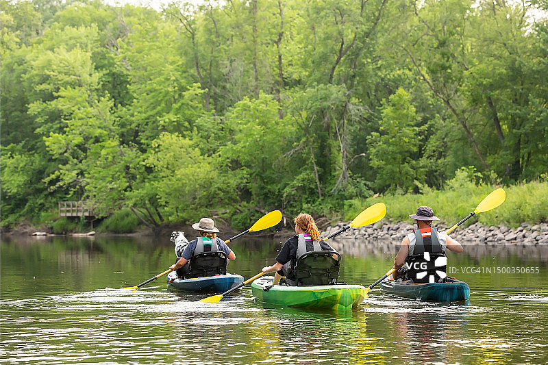 一家人和狗在夏季的朗姆河上划皮划艇图片素材